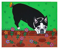 Boston Terrier - Babe  | Acrylic on Canvas | 20"x16" |